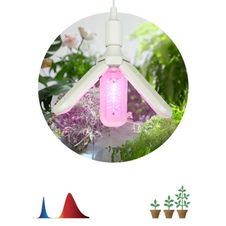 Phytolamps for plants LED era Fito-24W-RB-E27-Fold 3-ht of red-blue spectrum 2