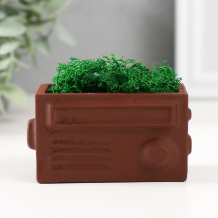 Kashpo concrete mini "Retro radio" with moss light brown 8x4x4.5cm (moss green stabil.)