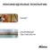 Basketball ball minsa, PVC, glued, 8 panels, p. 7