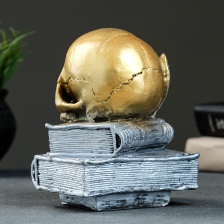 Figure "Skull with a book" bronze with silver, 19cm-2