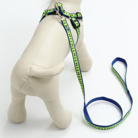 Set "Bones and Paws" reflective, leash 120 x 1.5 cm, OG 36-52 cm, blue-9