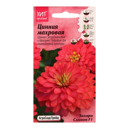 Tsinnia flowers "Terry Zakhara Salmon F1", 5 pcs
