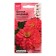 Tsinnia flowers "Terry Zakhara Salmon F1", 5 pcs