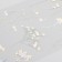Plastic stickers "Mimosa" set 6x18 cm