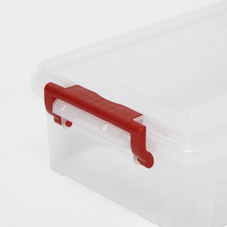 Storage container with a lid, 3.6 l, 31 × 20 × 9 cm, the color is transparent-2