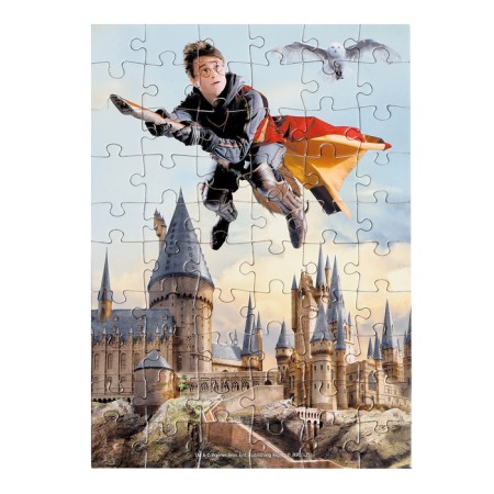 Harry Potter puzzle, 60 elements, mix-8