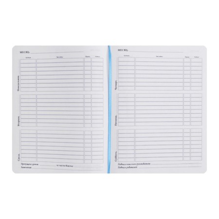 School diary for grades 5-11, PVC cover, "butterfly", mix-4