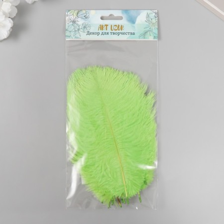 Decorative ostriches "Salad" h = 15-20 cm-2