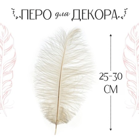 Feather for decor, size: 25-30 cm, white color-2