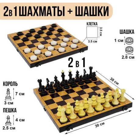 Board game 2 in 1 "Family": chess, checkers, plastic board 30 x 30 cm