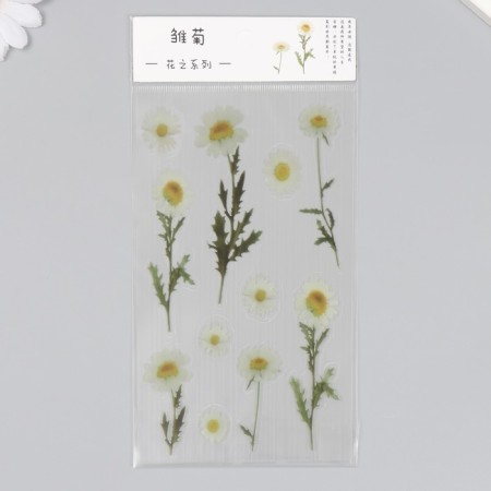 Stickers for creativity plastic "Chamomile" 21x10.5 cm-2