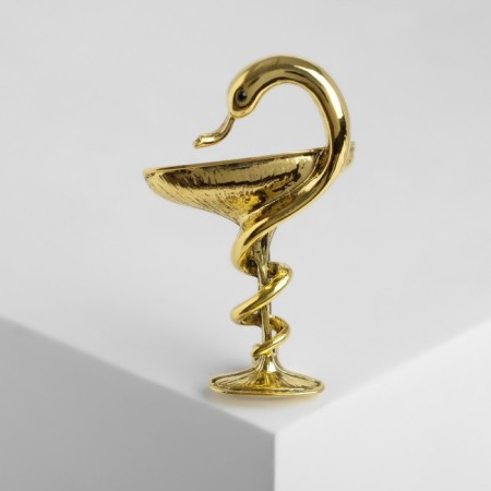 Brooch "Snake in Heraldic" sign, 4.4 cm, color black gold-1