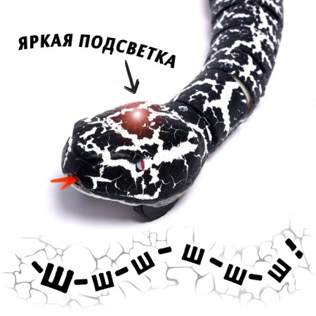 The animal radio -controlled "snake", light, works from the battery, the color is black-2