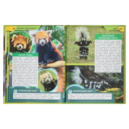 Encyclopedia "Animals. Rare Predators" 370597-4