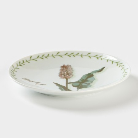 Porcelain plate "Botanika", D = 17.5 cm-1
