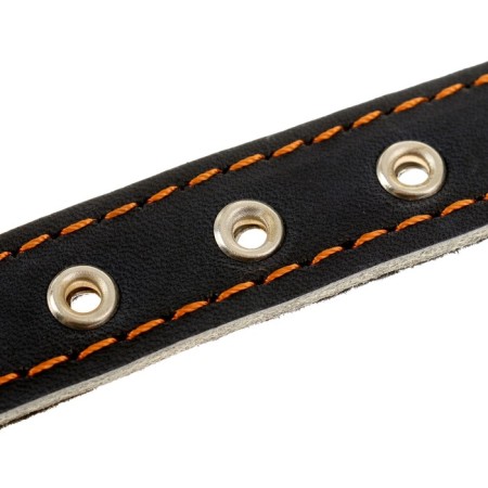 Leather collar on synthetic winterizer, 46 x 2 cm, Osh 25-35 cm, blue-3