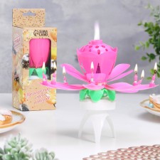 Candle for the cake musical 