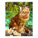 Picture on the numbers "A cat on a walk", a canvas on a subframe, 40 × 50 cm
