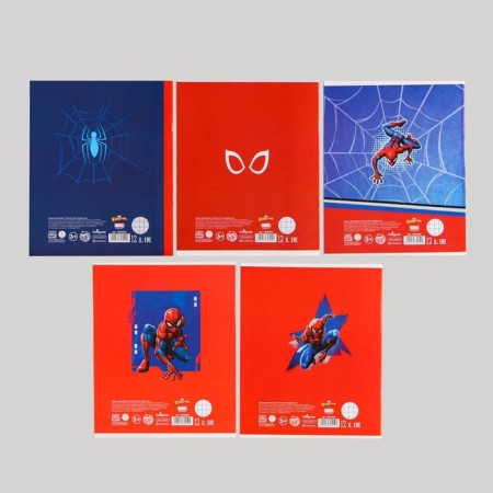 Notebook in a cage 12 sheets, 5 types of mix, cover coated cardboard, spider-man-2