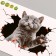 Stick 3D interior cat 30*20cm