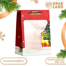 Laminated package, with the New Year window, 20 x 30 x 16 cm, red