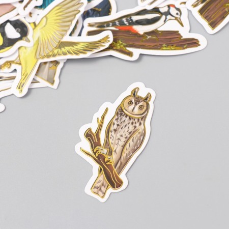 Stickers for creativity "City and forest birds" embossing gold set 48 pcs 9x7x0.8 cm-3
