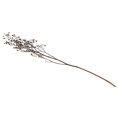 Dry flowers “Molchy Mile”, 25 g, length - 70 cm, white color-3