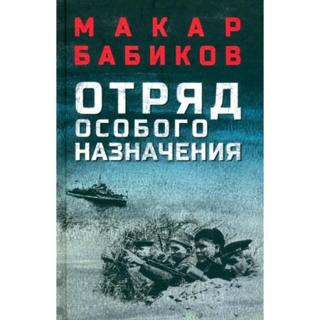 Special forces team. Story. Babikov M.A.