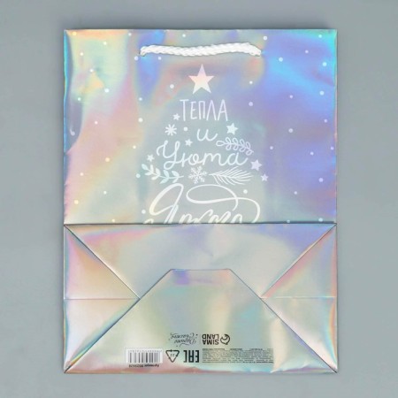 Holographic "heat" package, MS 18 x 23 x 10 cm, New Year-7
