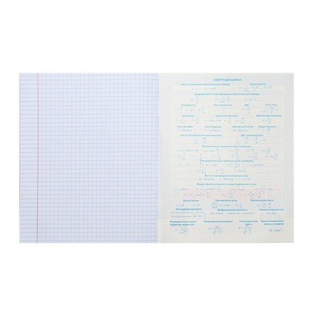 Notebook “Notebook”, 48 sheets in the “Physics” cage, covered cardboard, selective varnish, with reference material-3