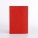 Cover for passport, red color