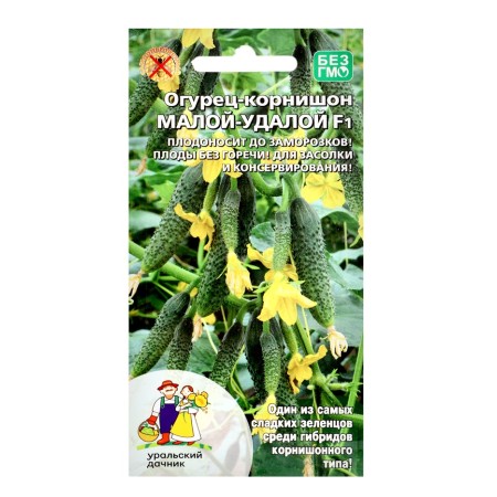 Seeds of cucumber "Malaya Udal - Kornishon", 10 pcs-2