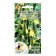 Seeds of cucumber "Malaya Udal - Kornishon", 10 pcs
