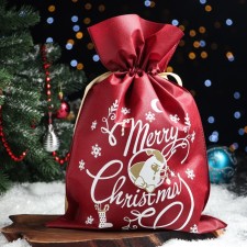 New Year. Gift bag 