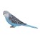 Figure Konik "Wavy Parrot", blue