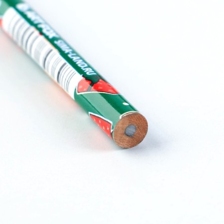 Gift New Year's set: notebook, pencils of b/g 2 pcs and wax crayons "Magic set"-13