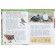 Encyclopedia for kindergarten "in the forest"