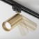 TREE TRECHNICAL TR004-1-GU10-M, 1x10W, 13x21 cm, GU10, matte gold.