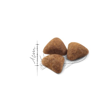 Dry feed RC Indoor for cats living in the room, 10 kg-2