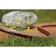 Hose, PVC, d = 1/2 "(12 mm), l = 50 m, 3-layer, reinforced, flex