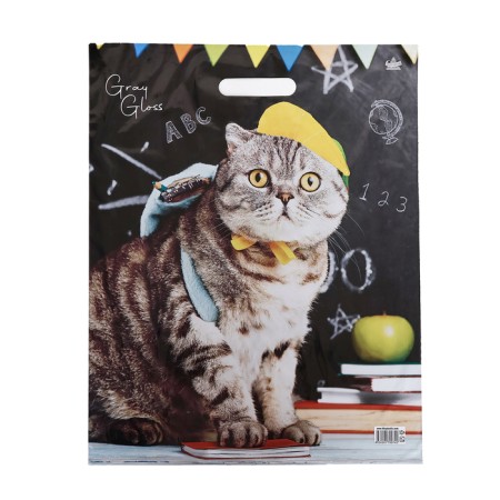 Package "Scientific Cat", polyethylene with a cut pen, 37.5*47.5 cm, 50 μm-1