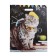 Package "Scientific Cat", polyethylene with a cut pen, 37.5*47.5 cm, 50 μm