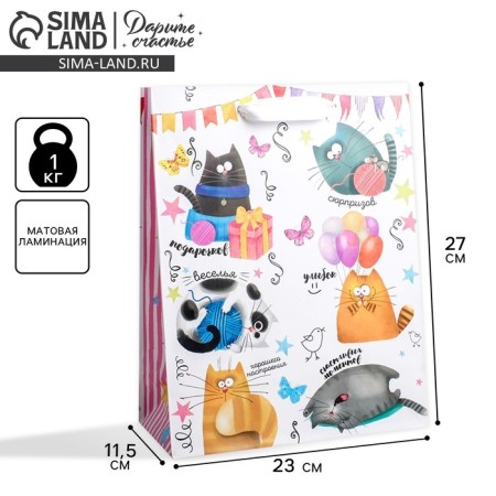 Gift Laminated Vertical, packaging, Funny cats, Ml 23 x 27 x 11.5 cm