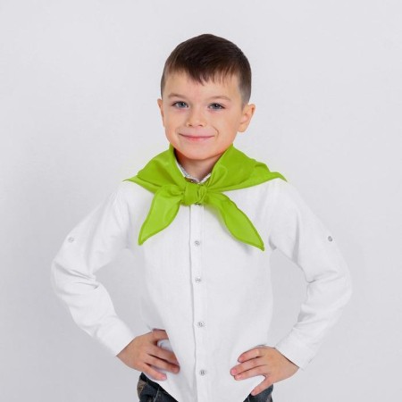 Pioneer tie, green color, shades mix