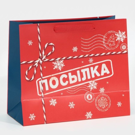 Laminated horizontal "Parcel", ML 27 x 23 x 11.5 cm, New Year-3