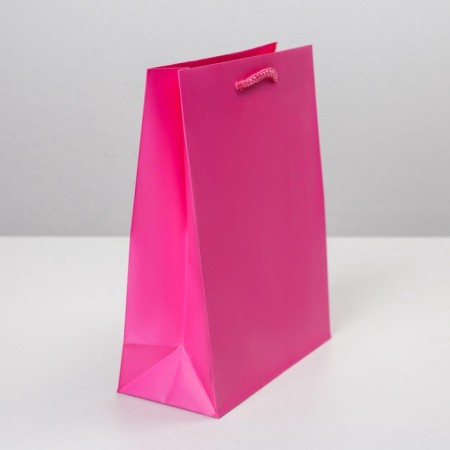 Gift Package Laminated, Packaging, Fuchsia, MS 18 x 23 x 8 cm-2
