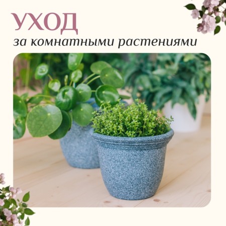 A set of garden tools, 3 objects: rake, 2 blades, length 24 cm, wooden handles, Greengo-4