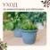 A set of garden tools, 3 objects: rake, 2 blades, length 24 cm, wooden handles, Greengo