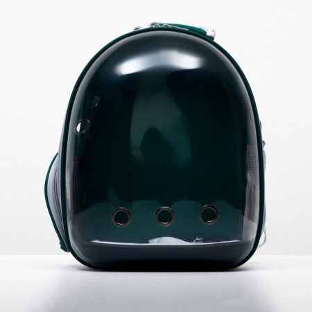 Backpack for carrying animals, transparent, 31 x 28 x 42 cm, green-9
