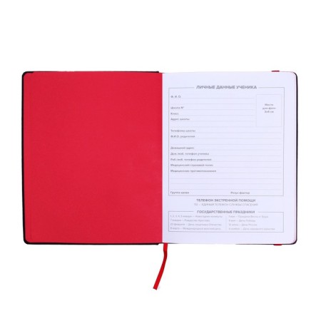 School diary for grades 1-11 is the letter Red, solid cover of artificial leather, plastic applique, pancake embossing, 48 sheets, 80 g/m2, universal cheat sheet.-3